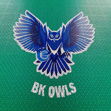 Guardwe Customized Baskeball Court