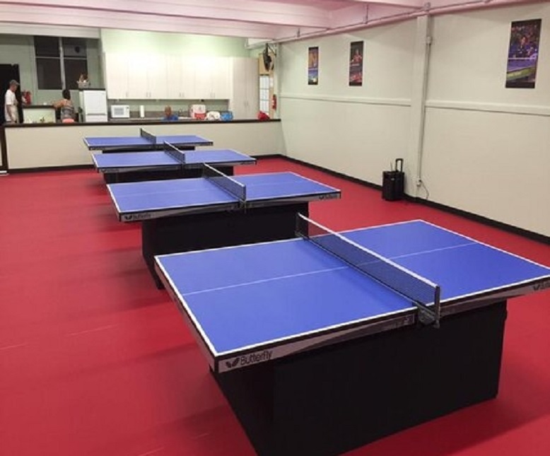 Table Tennis Flooring- Canvas 4.5mm