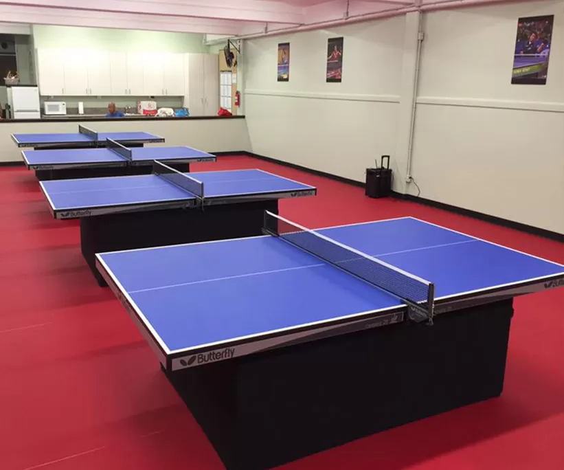 PVC Table Tennis Flooring – Canvas embossed